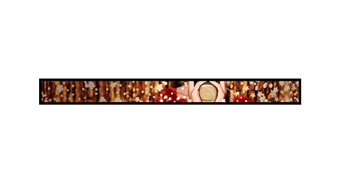 Shelf Edge LCD Display