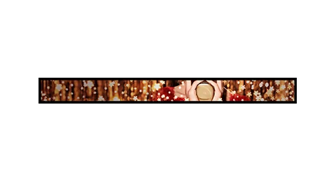 Shelf Edge LCD Display